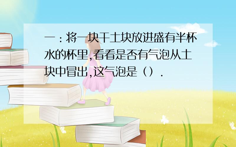 一：将一块干土块放进盛有半杯水的杯里,看看是否有气泡从土块中冒出,这气泡是（）.