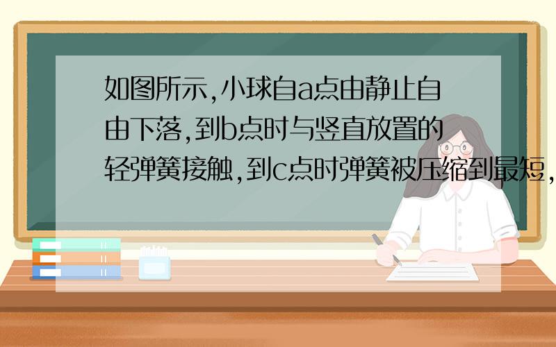 如图所示,小球自a点由静止自由下落,到b点时与竖直放置的轻弹簧接触,到c点时弹簧被压缩到最短,若不计空气阻力,在小球由a→ b→c的运动过程中A．小球的加速度,在ab段不变,在bc段逐渐减小 B