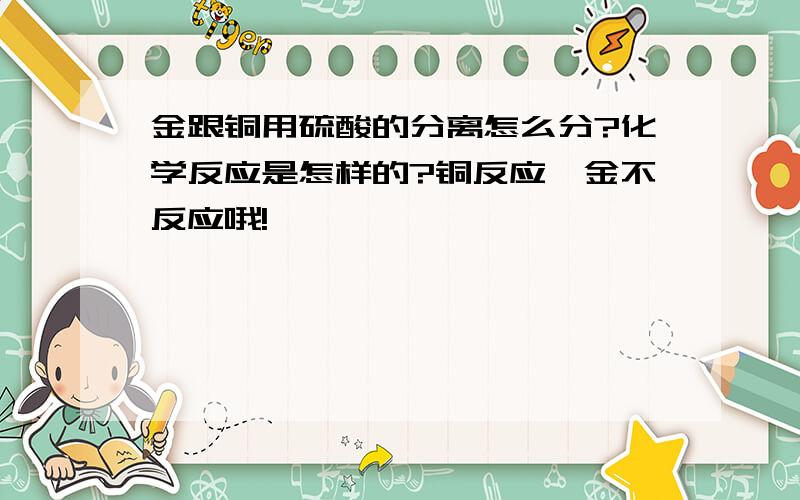 金跟铜用硫酸的分离怎么分?化学反应是怎样的?铜反应,金不反应哦!