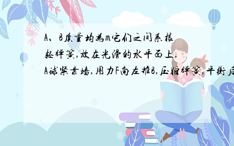 A、B质量均为m它们之间系根轻弹簧,放在光滑的水平面上,A球紧靠墙,用力F向左推B,压缩弹簧,平衡后突然松手A和B此时加速度分别为多少?为什么?