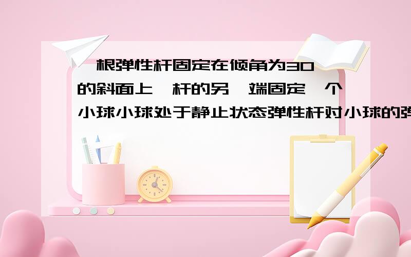 一根弹性杆固定在倾角为30°的斜面上,杆的另一端固定一个小球小球处于静止状态弹性杆对小球的弹性方向为什么是竖直向上