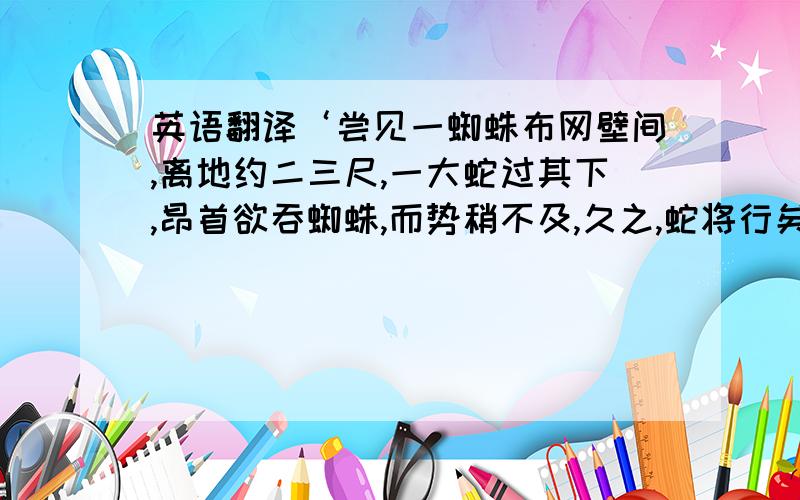 英语翻译‘尝见一蜘蛛布网壁间,离地约二三尺,一大蛇过其下,昂首欲吞蜘蛛,而势稍不及,久之,蛇将行矣,蜘蛛忽悬而下,垂身半空,诺将追蛇者,蛇怒,复昂首欲吞之,蜘蛛引丝疾上,久之,蛇又将行