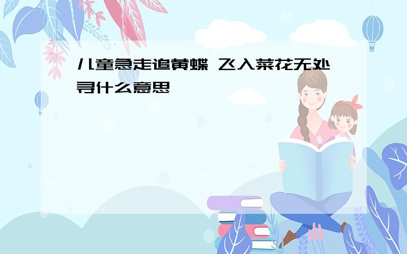 儿童急走追黄蝶 飞入菜花无处寻什么意思