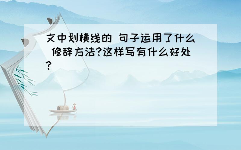 文中划横线的 句子运用了什么 修辞方法?这样写有什么好处?