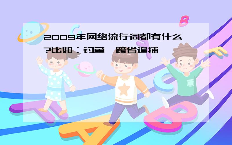 2009年网络流行词都有什么?比如：钓鱼、跨省追捕……