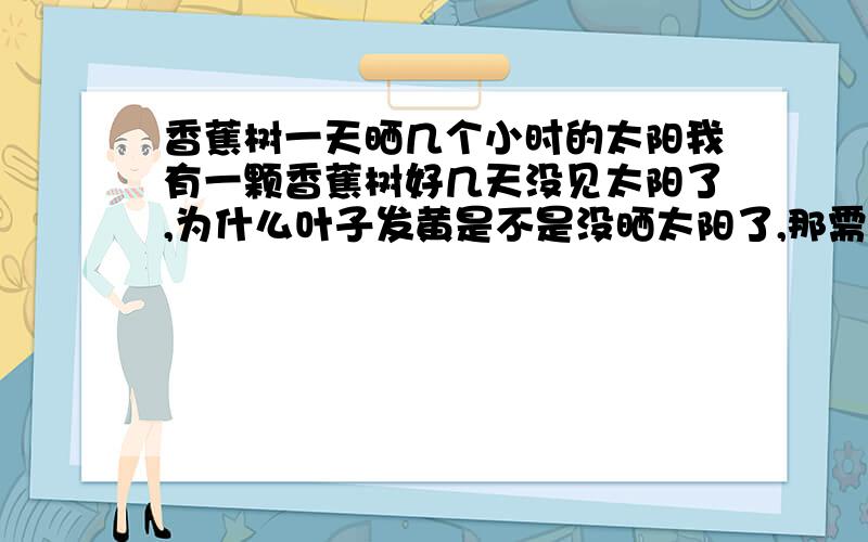 香蕉树一天晒几个小时的太阳我有一颗香蕉树好几天没见太阳了,为什么叶子发黄是不是没晒太阳了,那需要晒几个小时的太阳呢?