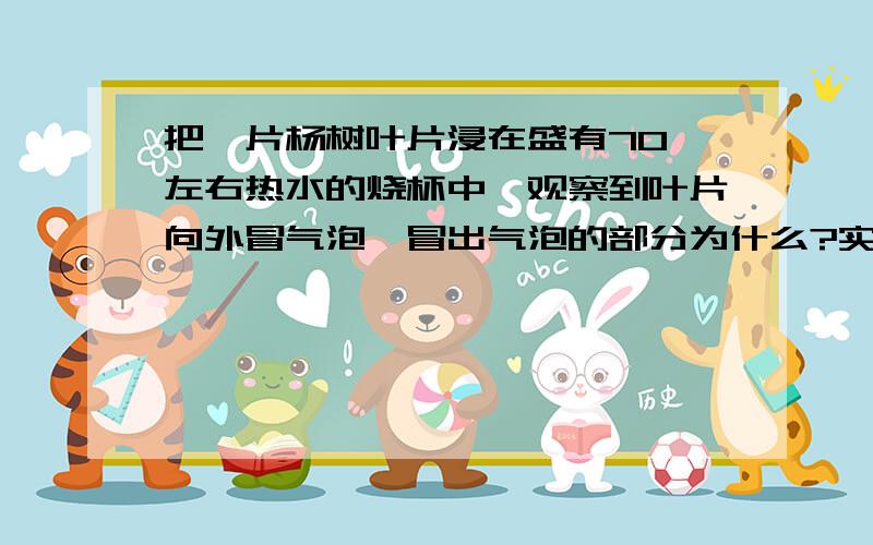 把一片杨树叶片浸在盛有70℃左右热水的烧杯中,观察到叶片向外冒气泡,冒出气泡的部分为什么?实验中还会观察到,叶片背面冒出的气泡比正面多,这与陆生植物的蒸腾作用有何联系?