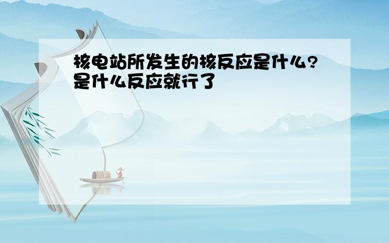 核电站所发生的核反应是什么?是什么反应就行了