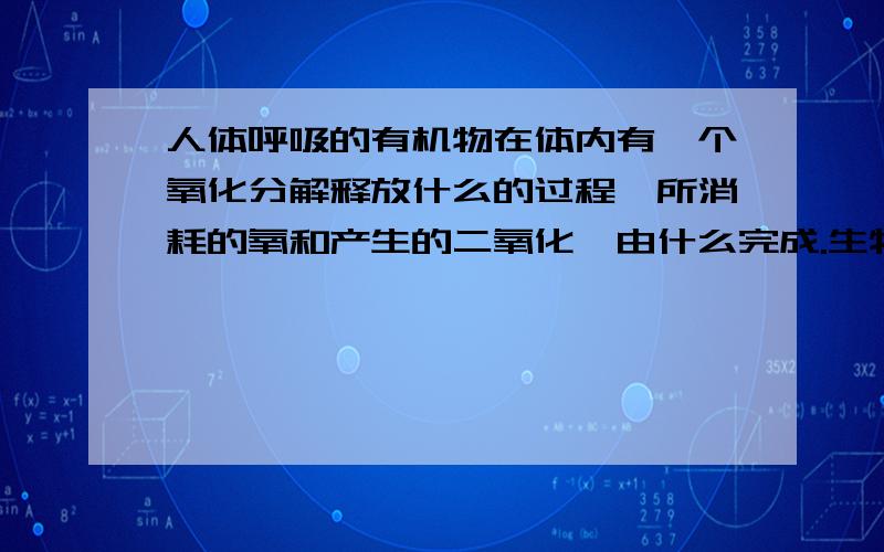 人体呼吸的有机物在体内有一个氧化分解释放什么的过程,所消耗的氧和产生的二氧化,由什么完成.生物获得生命活动所需能量的主要生理作用是什么