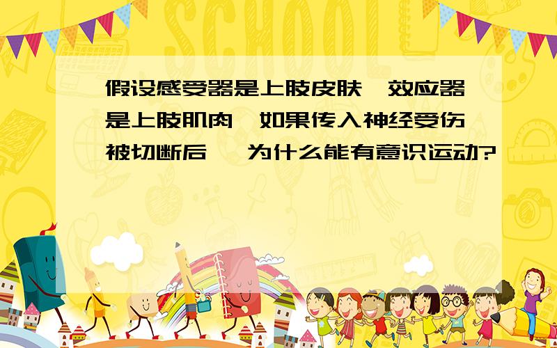 假设感受器是上肢皮肤,效应器是上肢肌肉,如果传入神经受伤被切断后, 为什么能有意识运动?