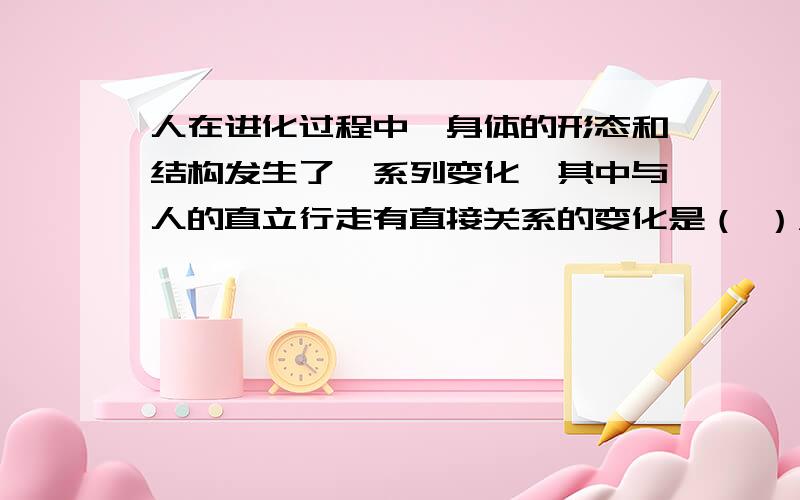 人在进化过程中,身体的形态和结构发生了一系列变化,其中与人的直立行走有直接关系的变化是（ ）A、牙齿变小,分工更细 B、下肢粗壮,脚板变宽C、身材高大,体质好 D、体毛减少,胎生哺乳