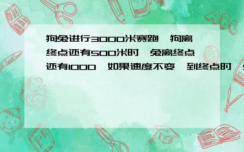 狗兔进行3000米赛跑,狗离终点还有500米时,兔离终点还有1000,如果速度不变,到终点时,兔离终点多少米?