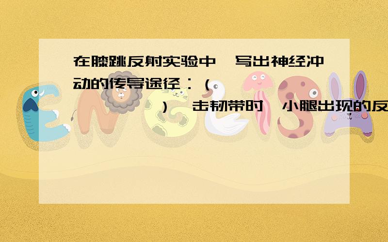 在膝跳反射实验中,写出神经冲动的传导途径：（               ）叩击韧带时,小腿出现的反映是（                  ）；此实验应该注意的问题是（                 ）