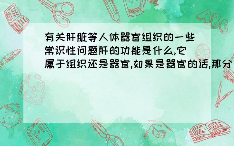 有关肝脏等人体器官组织的一些常识性问题肝的功能是什么,它属于组织还是器官,如果是器官的话,那分别由哪几个组织构成?所谓的炎症是什么,为什么只有肝炎具有传播性或者说传播性那么