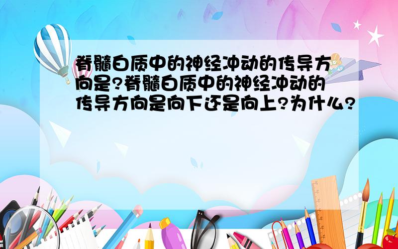 脊髓白质中的神经冲动的传导方向是?脊髓白质中的神经冲动的传导方向是向下还是向上?为什么?