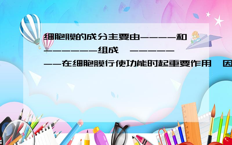 细胞膜的成分主要由----和------组成,-------在细胞膜行使功能时起重要作用,因此,功能越复杂的细胞膜,细胞膜的成分主要由----和----组成，----在细胞膜行使功能时起重要作用，因此，功能越复