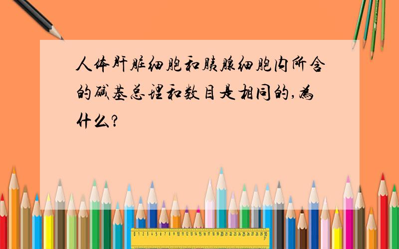 人体肝脏细胞和胰腺细胞内所含的碱基总理和数目是相同的,为什么?