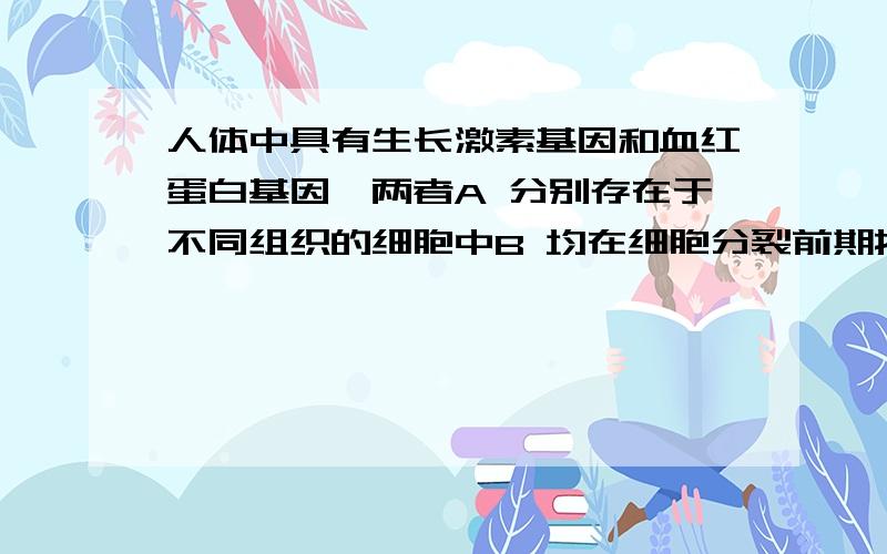 人体中具有生长激素基因和血红蛋白基因,两者A 分别存在于不同组织的细胞中B 均在细胞分裂前期按照碱基互补配对原则复制C 均在细胞核内转录和翻译D 转录的信使RNA上相同的密码子翻译成