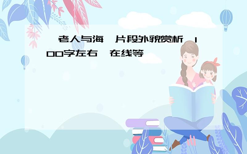 《老人与海》片段外貌赏析,100字左右,在线等