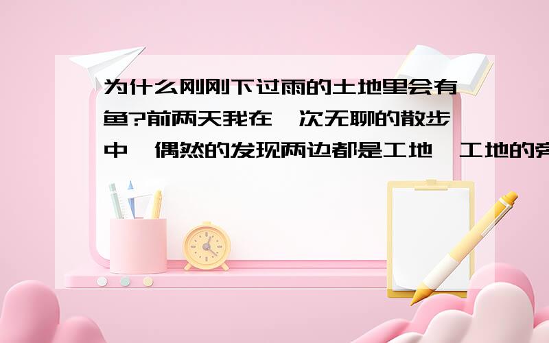 为什么刚刚下过雨的土地里会有鱼?前两天我在一次无聊的散步中,偶然的发现两边都是工地,工地的旁边就是路,工地是土地,土地因为是刚刚下了两天雨有点儿水,水里面有东西在动,仔细一看竟