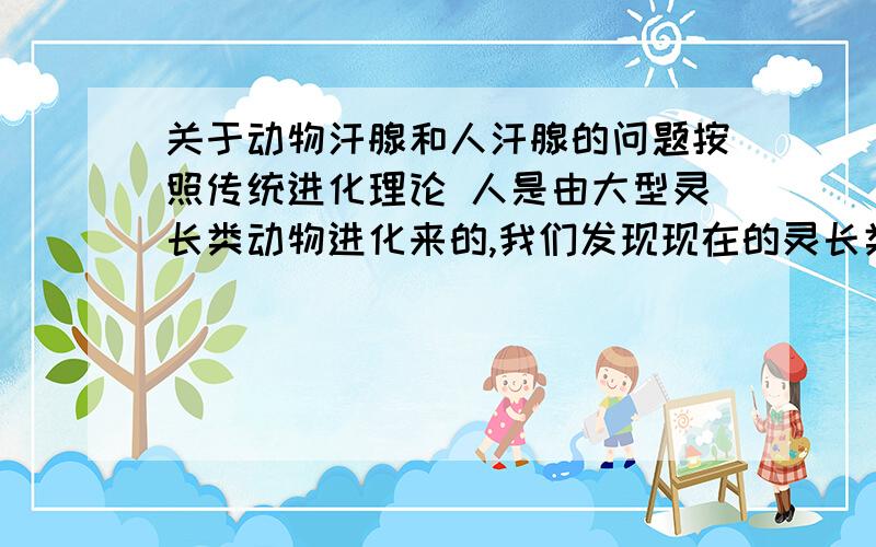 关于动物汗腺和人汗腺的问题按照传统进化理论 人是由大型灵长类动物进化来的,我们发现现在的灵长类动物猴子 猩猩等已经其他的猫科动物比如像老虎 狮子等他们的汗腺身体上大多地方是