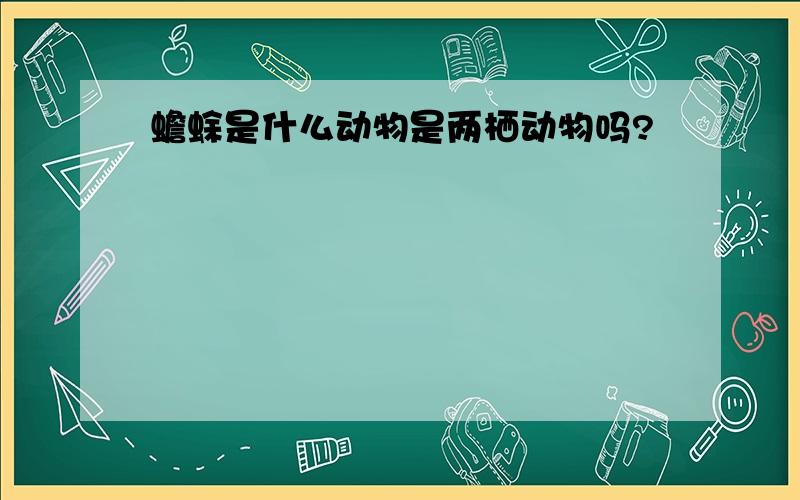 蟾蜍是什么动物是两栖动物吗?