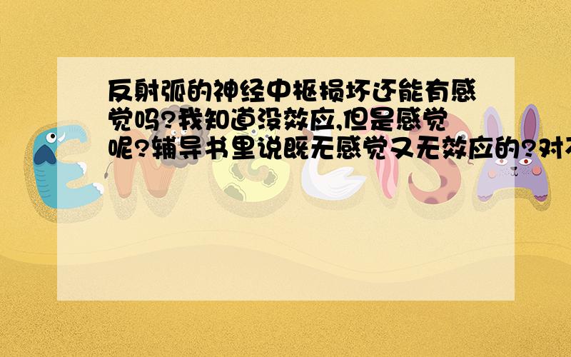 反射弧的神经中枢损坏还能有感觉吗?我知道没效应,但是感觉呢?辅导书里说既无感觉又无效应的?对不