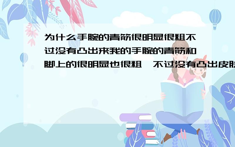 为什么手腕的青筋很明显很粗不过没有凸出来我的手腕的青筋和脚上的很明显也很粗,不过没有凸出皮肤,为什么手腕的筋还有会变粗变细我一年四季手脚冰冷也容易出汗,会不会是身体不好有