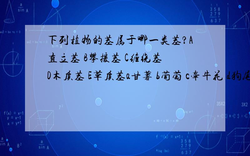 下列植物的茎属于哪一类茎?A直立茎 B攀援茎 C缠绕茎 D木质茎 E草质茎a甘薯 b葡萄 c牵牛花 d狗尾草 e松树 f草莓