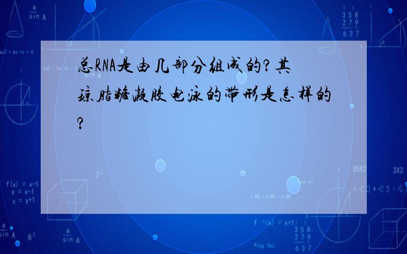 总RNA是由几部分组成的?其琼脂糖凝胶电泳的带形是怎样的?