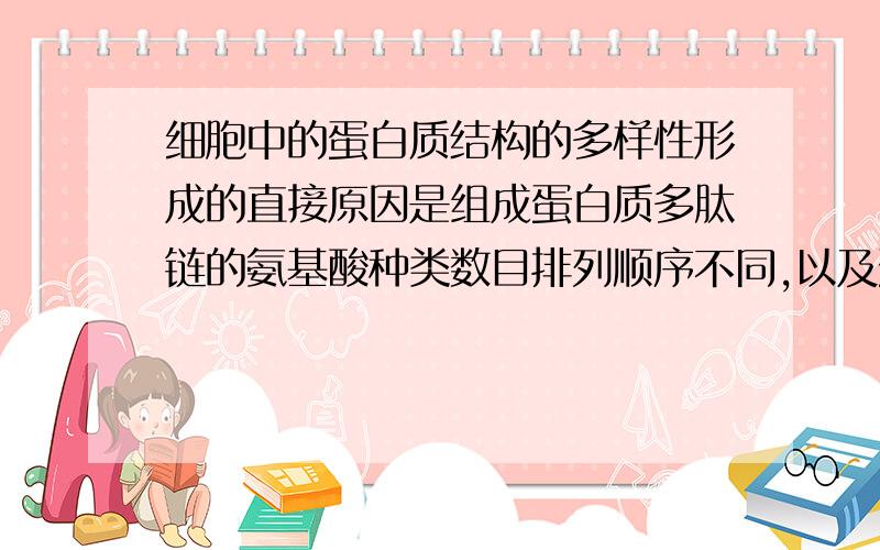 细胞中的蛋白质结构的多样性形成的直接原因是组成蛋白质多肽链的氨基酸种类数目排列顺序不同,以及蛋白质的________和_________不同.根本原因是___________________________.