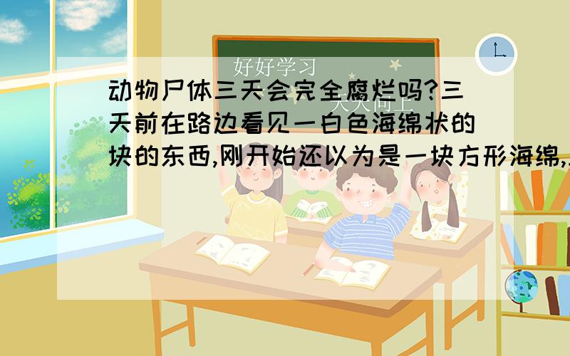 动物尸体三天会完全腐烂吗?三天前在路边看见一白色海绵状的块的东西,刚开始还以为是一块方形海绵,上面铺满黑色的东西（可能是苍蝇）,今天路过看见貌似差不多完全腐烂了,变成了一堆