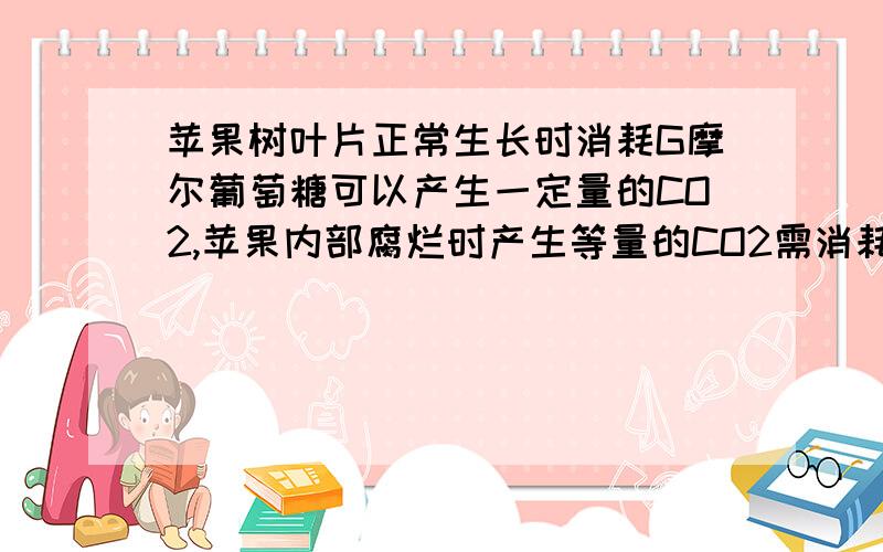 苹果树叶片正常生长时消耗G摩尔葡萄糖可以产生一定量的CO2,苹果内部腐烂时产生等量的CO2需消耗葡萄糖的量A 1G摩尔 B 3G摩尔 C G/3摩尔 D G/6摩尔