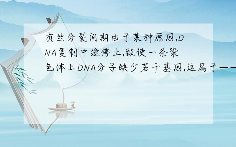 有丝分裂间期由于某种原因,DNA复制中途停止,致使一条染色体上DNA分子缺少若干基因,这属于——为什么是染色体变异,而不是基因突变?两者有何区别?求分析