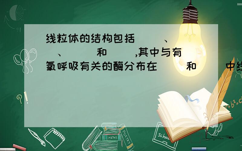 线粒体的结构包括（ ）、（ ）、（ ）和（ ）,其中与有氧呼吸有关的酶分布在（ ）和（ ）中线粒体的结构包括（ ）、（ ）、（ ）和（ ）,其中与有氧呼吸有关的酶分布在（ ）和（ ）中,