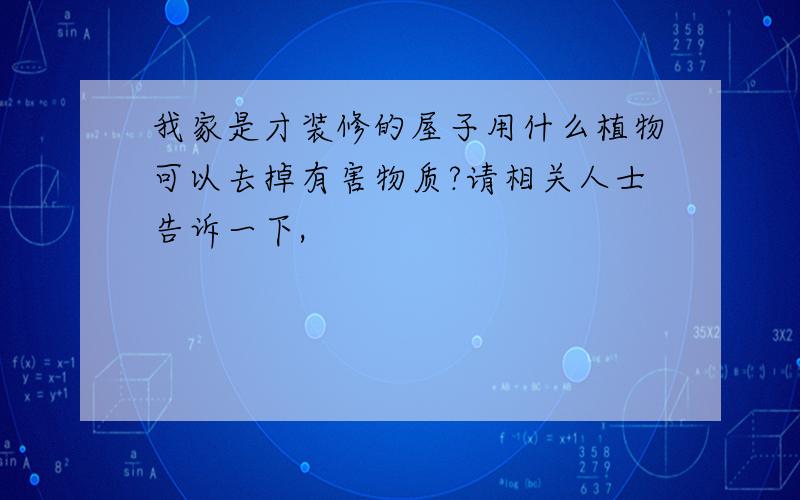 我家是才装修的屋子用什么植物可以去掉有害物质?请相关人士告诉一下,