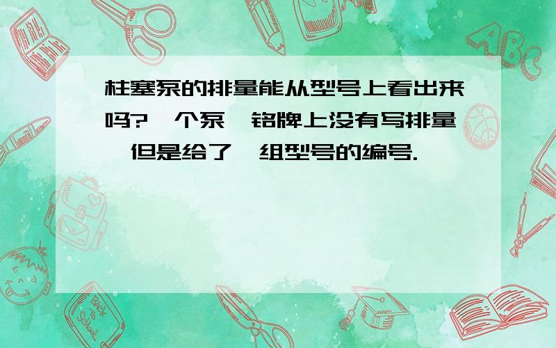 柱塞泵的排量能从型号上看出来吗?一个泵,铭牌上没有写排量,但是给了一组型号的编号.