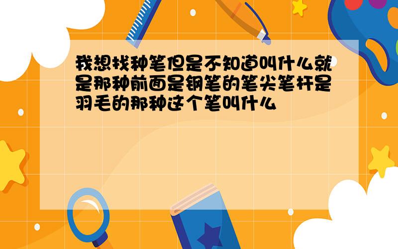 我想找种笔但是不知道叫什么就是那种前面是钢笔的笔尖笔杆是羽毛的那种这个笔叫什么