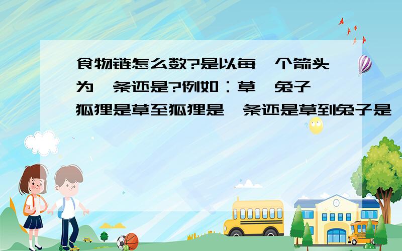 食物链怎么数?是以每一个箭头为一条还是?例如：草→兔子→狐狸是草至狐狸是一条还是草到兔子是一条?还有,遇到分叉又怎样算?