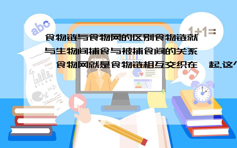 食物链与食物网的区别食物链就与生物间捕食与被捕食间的关系,食物网就是食物链相互交织在一起.这个我知道,我想问的是食物链交织得怎么样才能算得上是一个食物网,\举个例子,草被兔子