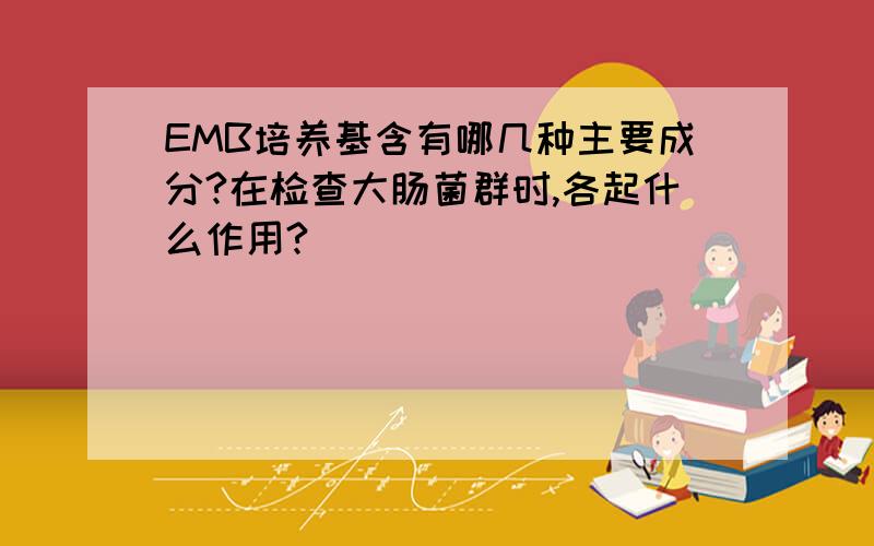 EMB培养基含有哪几种主要成分?在检查大肠菌群时,各起什么作用?