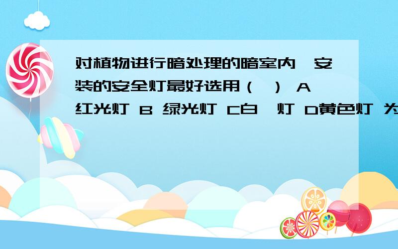 对植物进行暗处理的暗室内,安装的安全灯最好选用（ ） A红光灯 B 绿光灯 C白炽灯 D黄色灯 为什么?