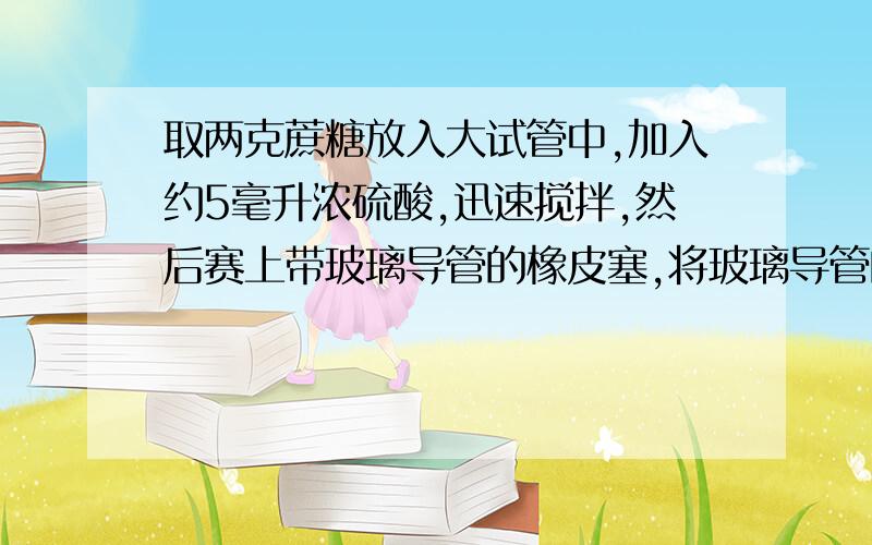 取两克蔗糖放入大试管中,加入约5毫升浓硫酸,迅速搅拌,然后赛上带玻璃导管的橡皮塞,将玻璃导管的另一端插入盛有品红溶液的试管中，实验现象是什么。