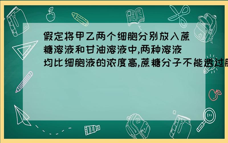 假定将甲乙两个细胞分别放入蔗糖溶液和甘油溶液中,两种溶液均比细胞液的浓度高,蔗糖分子不能透过膜,甘油分子可以较快地透过膜,在显微镜下连续观察甲乙两细胞的变化是?A．甲乙两细胞