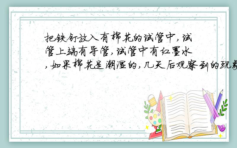 把铁钉放入有棉花的试管中,试管上端有导管,试管中有红墨水,如果棉花是潮湿的,几天后观察到的现象是 ；如果棉花是干燥的,观察到的现象是 ；原因 是什么?