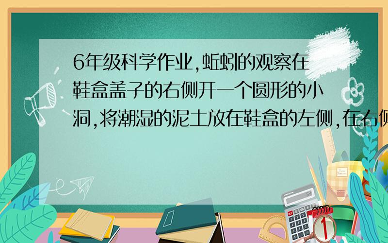 6年级科学作业,蚯蚓的观察在鞋盒盖子的右侧开一个圆形的小洞,将潮湿的泥土放在鞋盒的左侧,在右侧小洞正下方放入3条蚯蚓,将盖子盖好,把手电筒打亮后放在小洞上方,过10分钟后,关掉手电