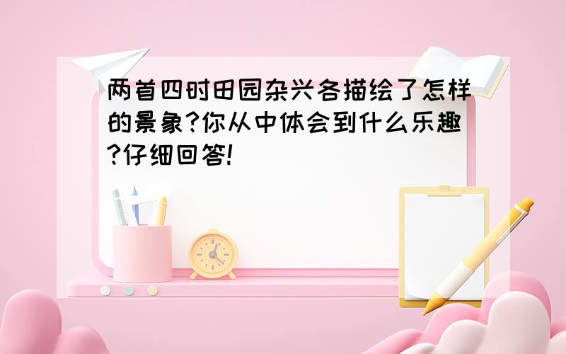 两首四时田园杂兴各描绘了怎样的景象?你从中体会到什么乐趣?仔细回答!