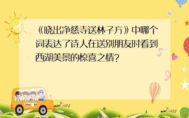 《晓出净慈寺送林子方》中哪个词表达了诗人在送别朋友时看到西湖美景的惊喜之情?