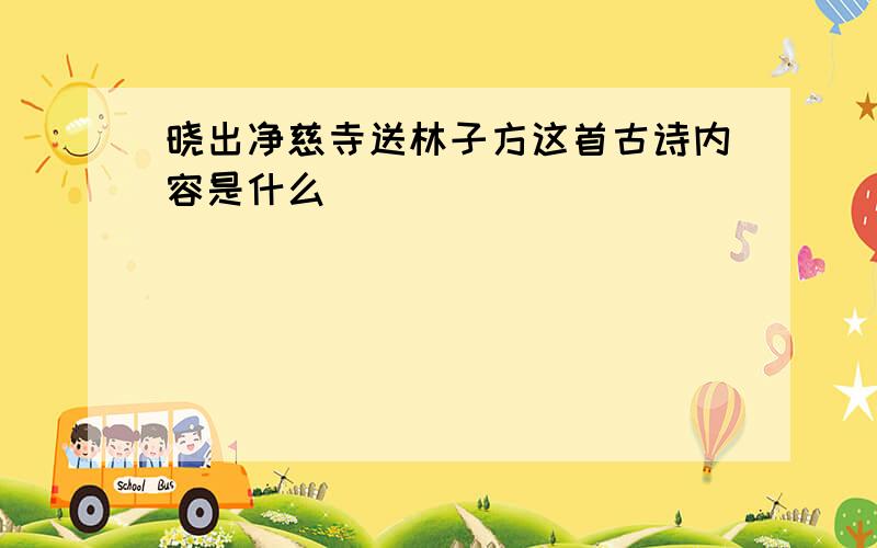 晓出净慈寺送林子方这首古诗内容是什么