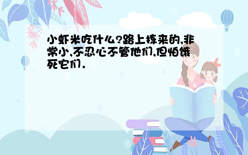 小虾米吃什么?路上拣来的,非常小,不忍心不管他们,但怕饿死它们．